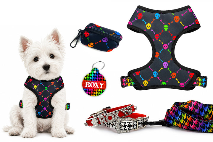 5 Piece Rainbow Skulls Puppy Bundle