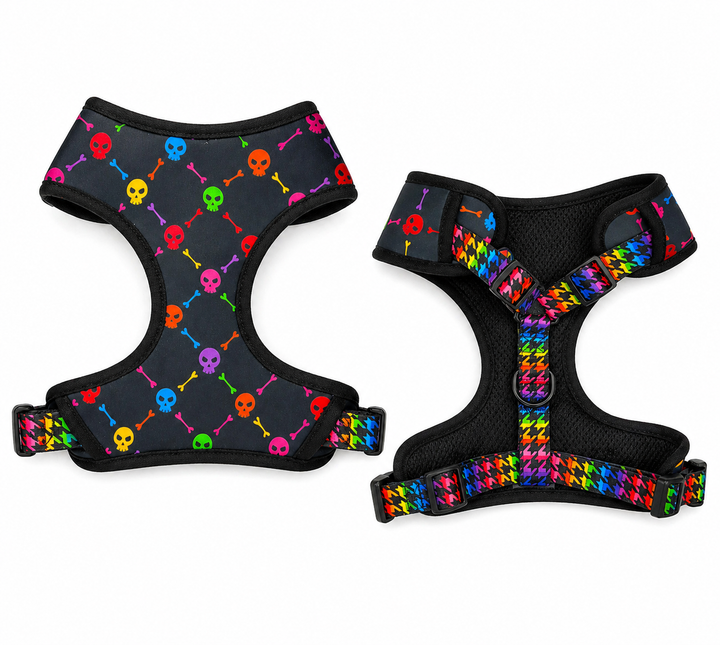 Rad Rainbow Skulls Harness