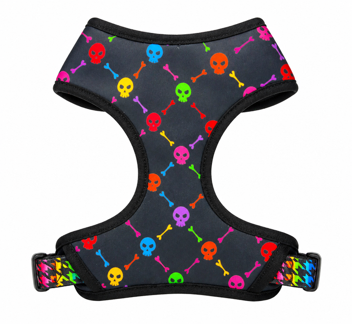 Rad Rainbow Skulls Harness