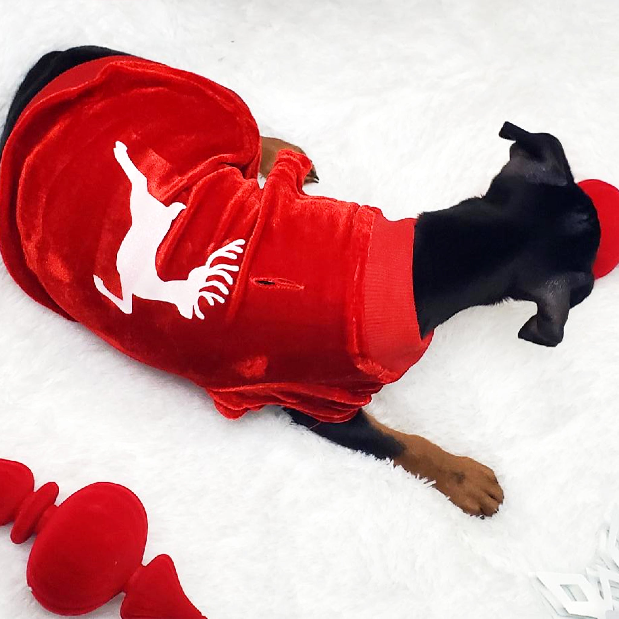 Red Velvet Jumper | Dancing Reindeer