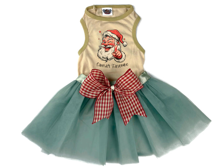 Santa's Favorite Pet Outfit
