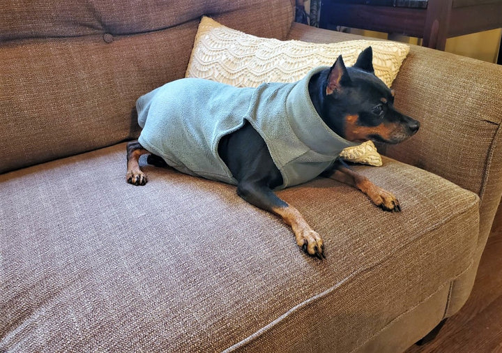 Base Layer Pet Fleece | 3 Color Choices