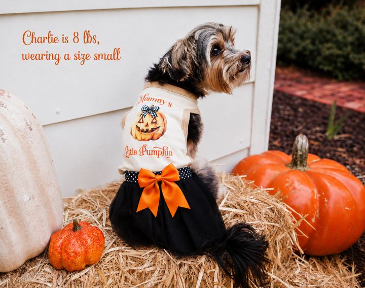 Mommy's/Daddy's Little Pumpkin Halloween Costume
