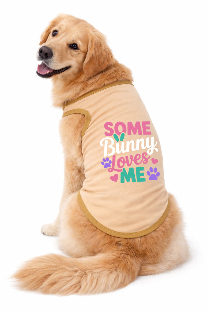 Dog Shirt | Some Bunny Loves Me