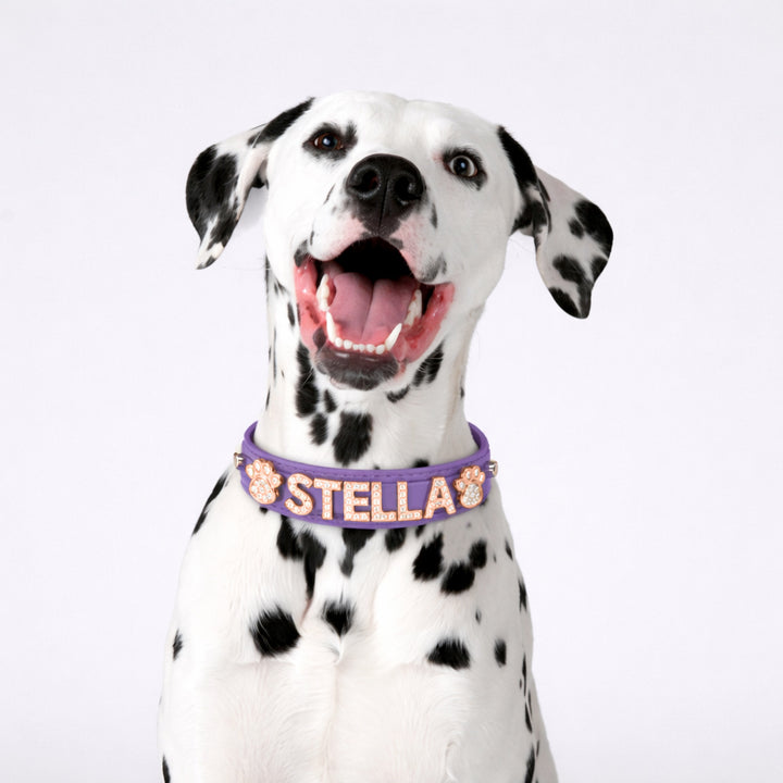Matte Amethyst Rose Gold Personalized Pet Collar