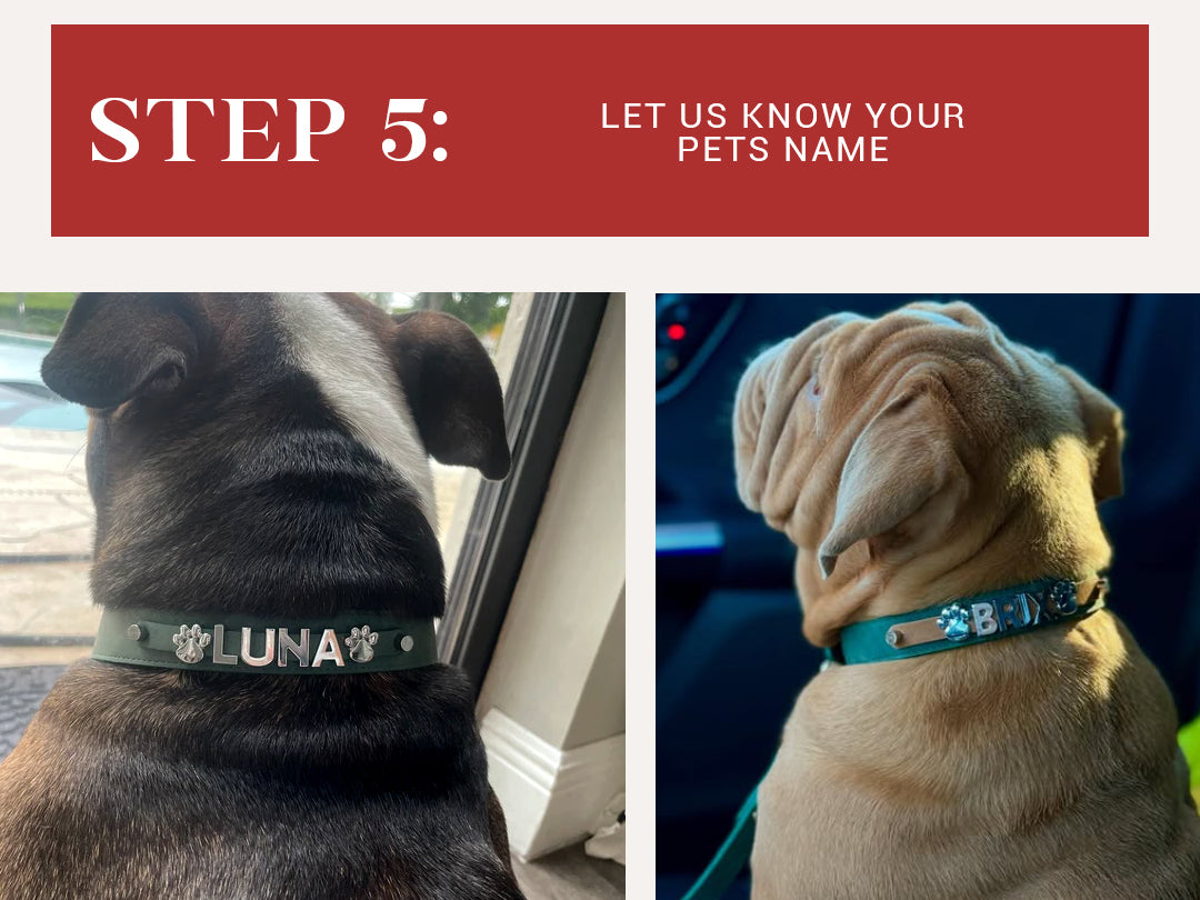 Desert Suedes Bundle