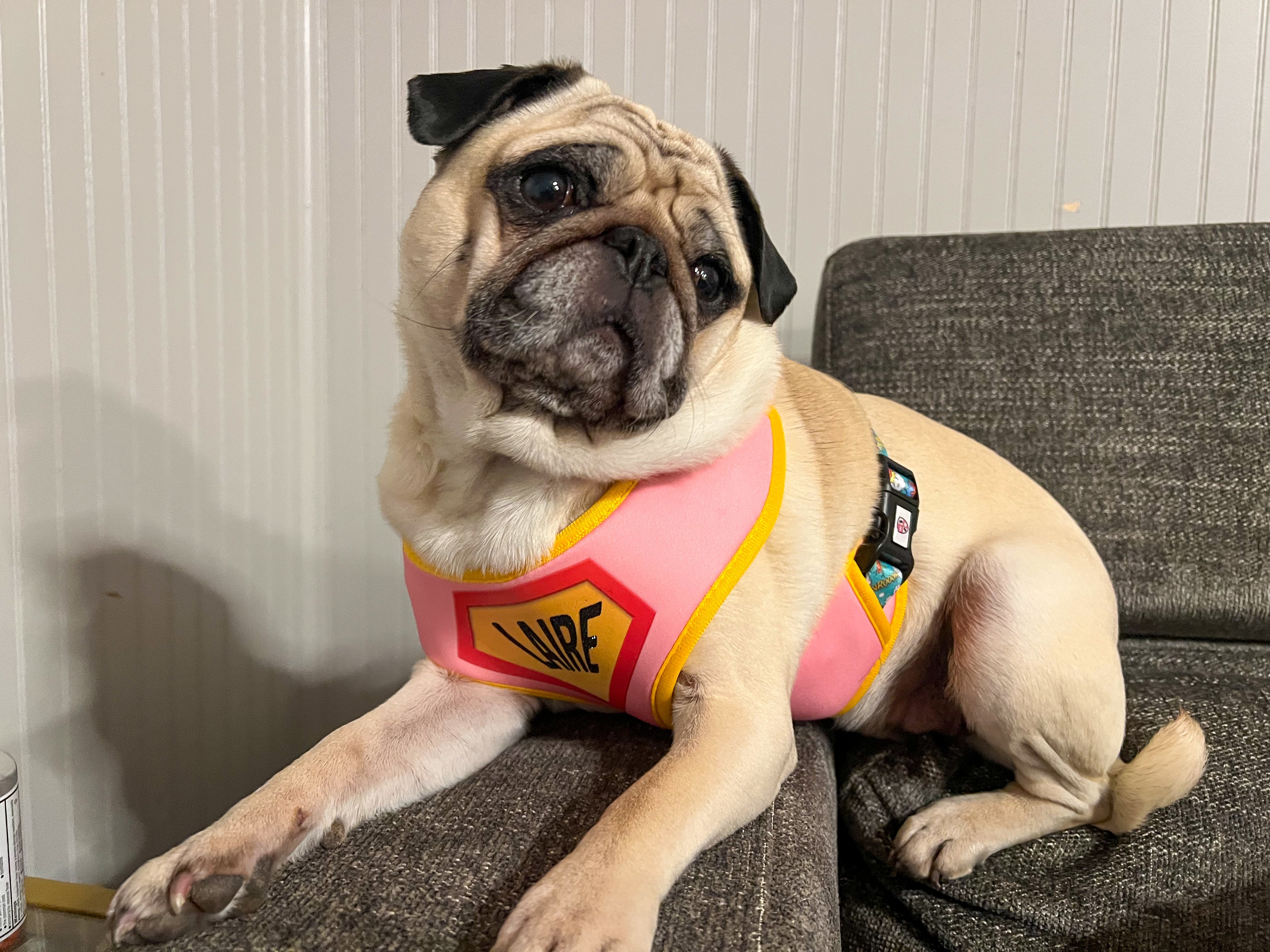 Pink Superhero Harness