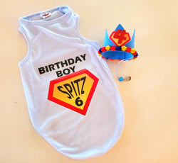 Superhero Birthday Boy Personalized Dog Outfit