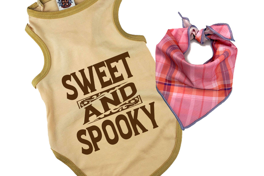 Halloween Dog Bandana Costume | Sweet & Spooky