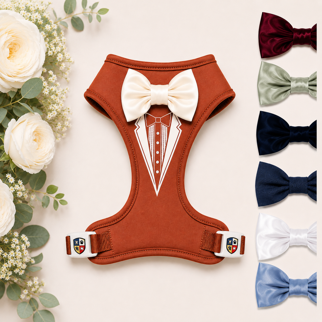 Groove Tuxedo Harness in Terracotta | 30 Bowtie Color Options