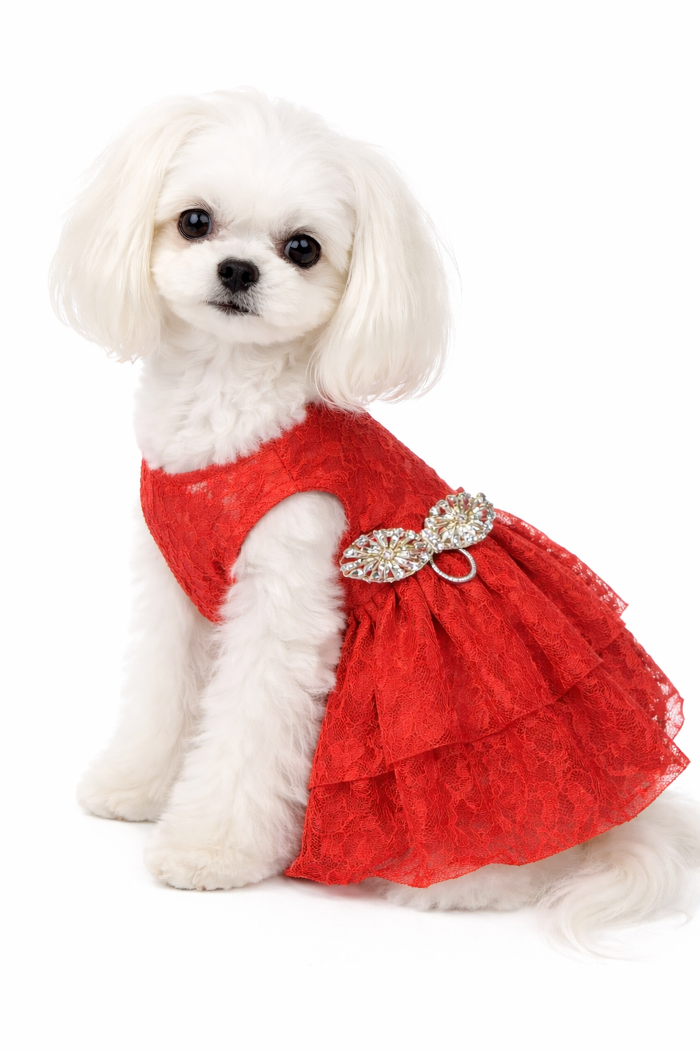 Quinceanera Dog Dress
