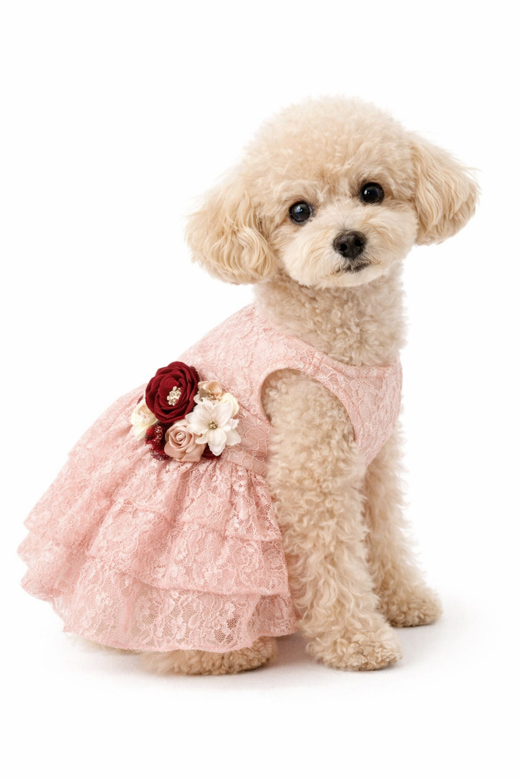 Formal Dog Dress | The Eloisa