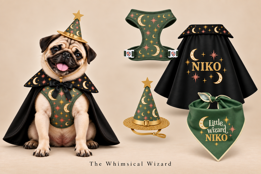 Whimsical Wizard Halloween Costume- PREORDER- SHIPS 10.8