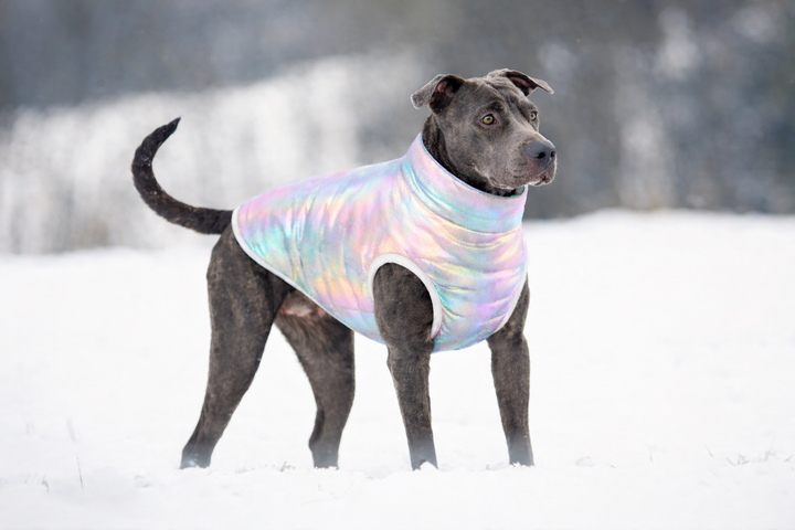 Reflective Unicorn Step-in pet jacket