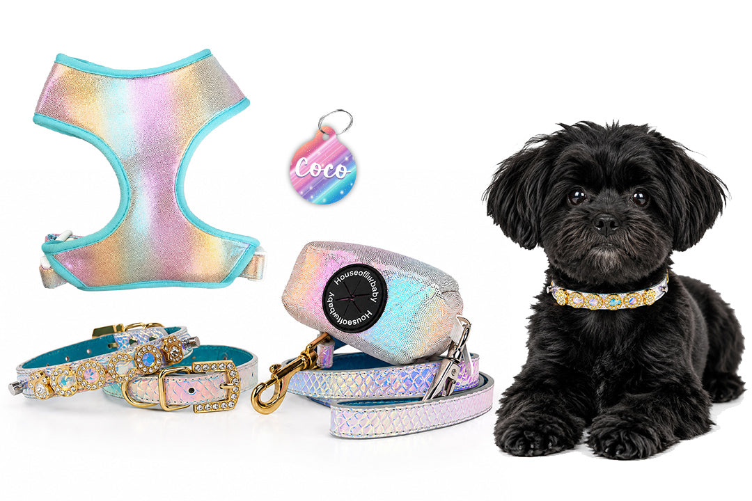 5 Piece Unicorn Puppy Bundle