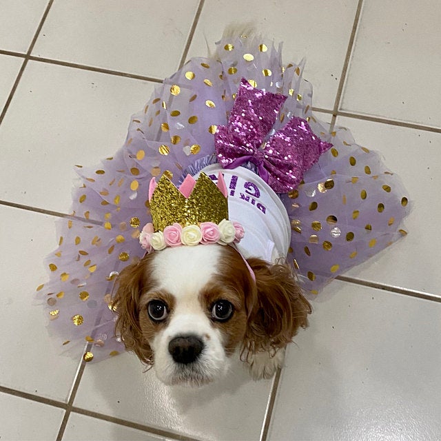 Personalized Birthday Girl Outfit | The Daphne