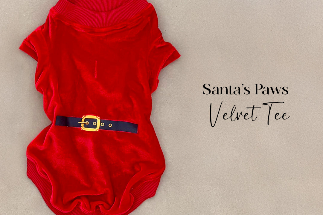 Brown Nosin' Beagle Bundle