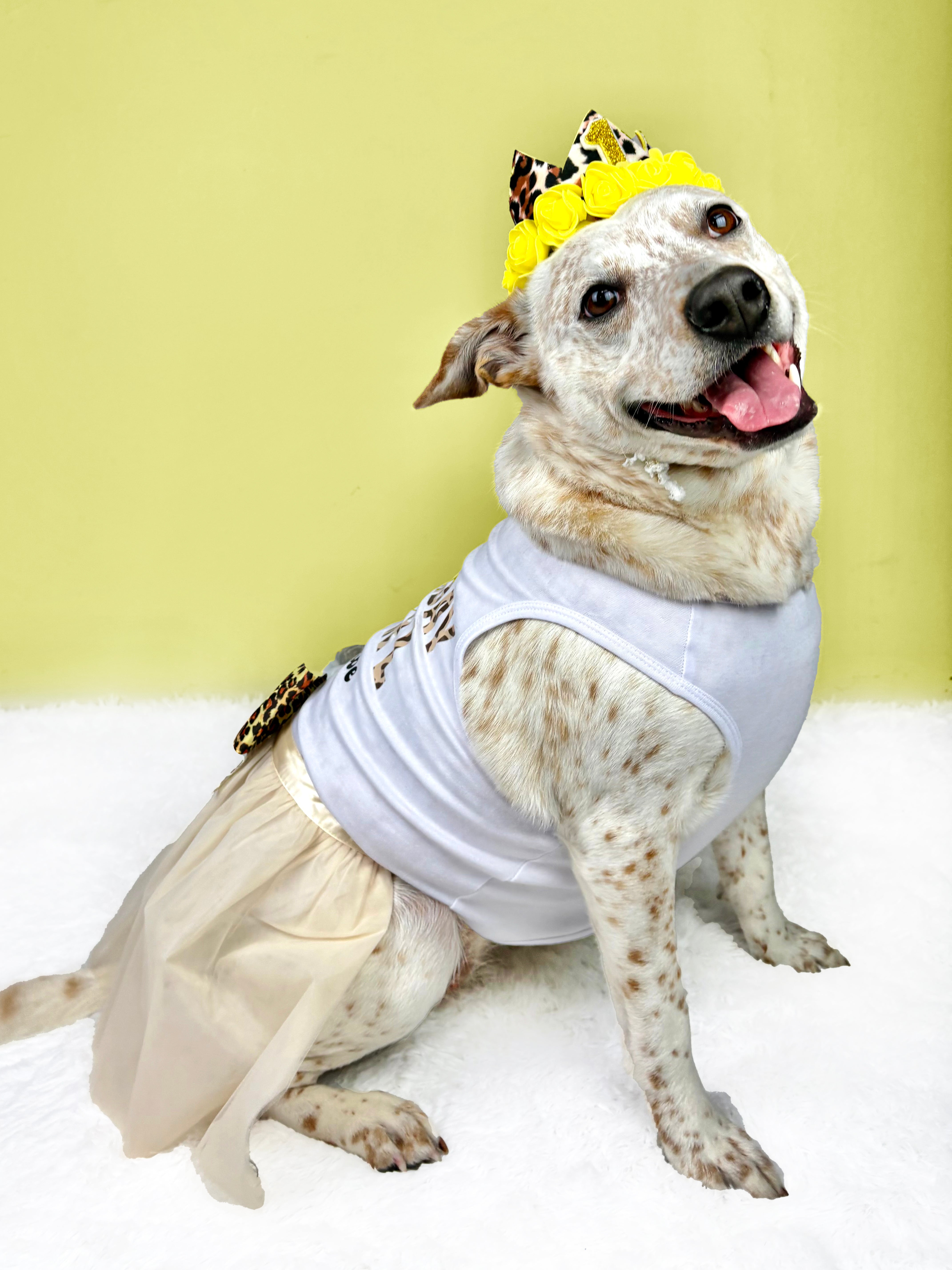 Personalized Birthday Girl Outfit | The Yellow Cheetah