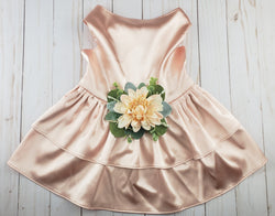Satin Pet Dress | The Phoebe | 10 Color Options | Ballet Blush