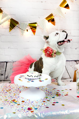 Quarantine Birthdays