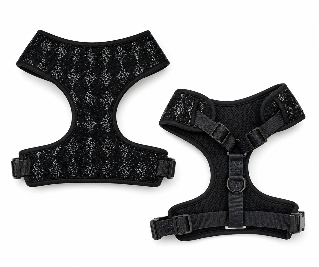 Black Diamond Sparkle Harness