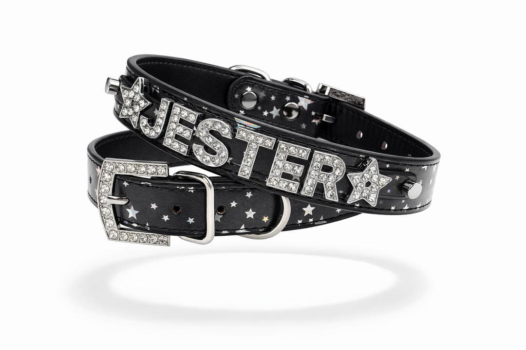 Bright Star Personalized Pet Collar
