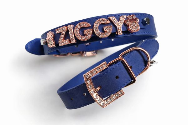 Collar | Blue Suede