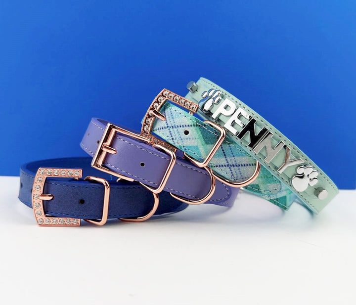 Sniffany Blue Chrome Pet Collar