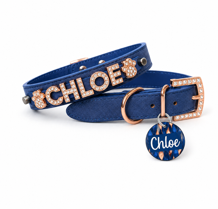 Collar | Blue Suede