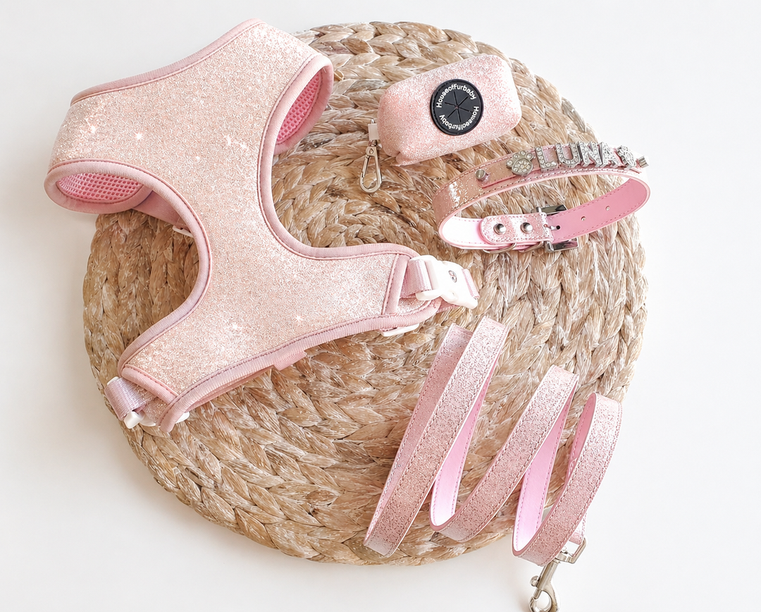Ballet Blush Sparkle Harness