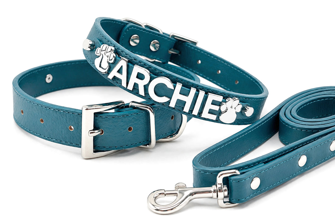 Tidewater Blue Chrome Pet Collar