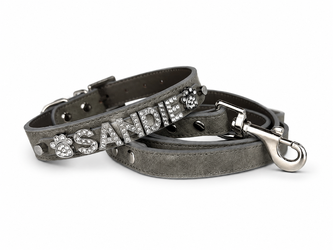 Desert Suedes Pet Collar