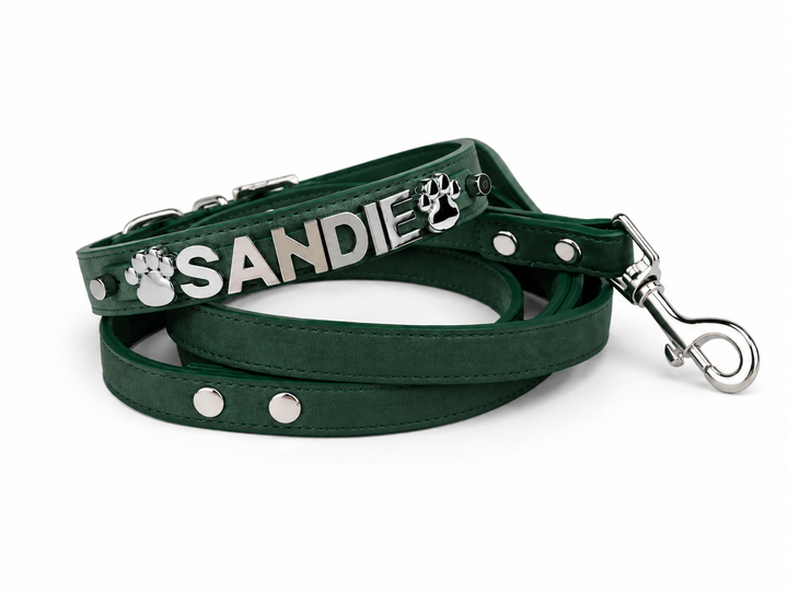 Desert Suedes Pet Collar
