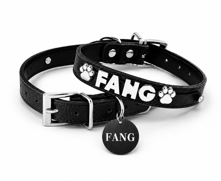 Collar | Black Croc