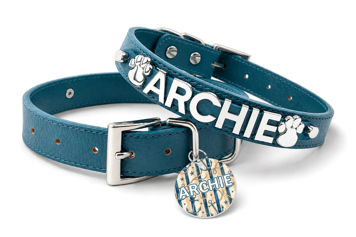 Tidewater Blue Chrome Pet Collar