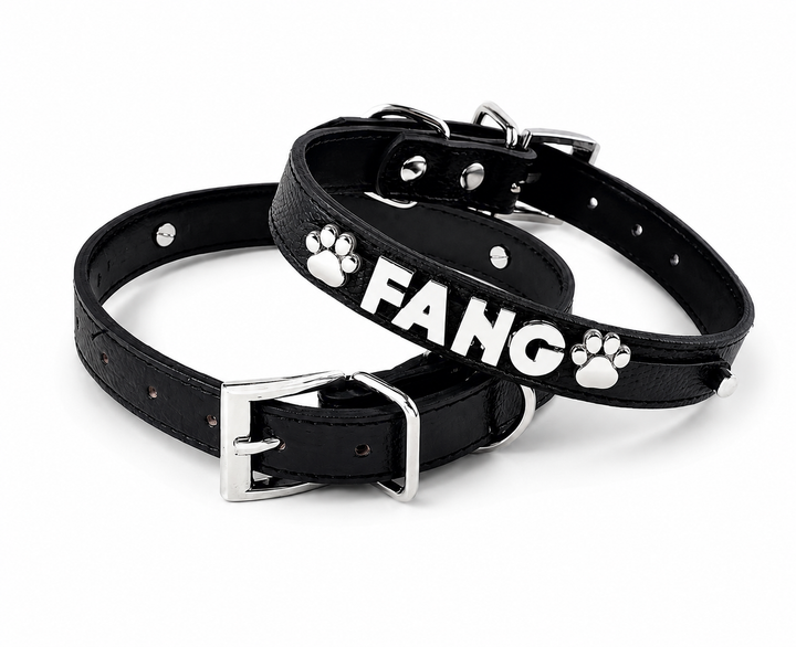 Collar | Black Croc