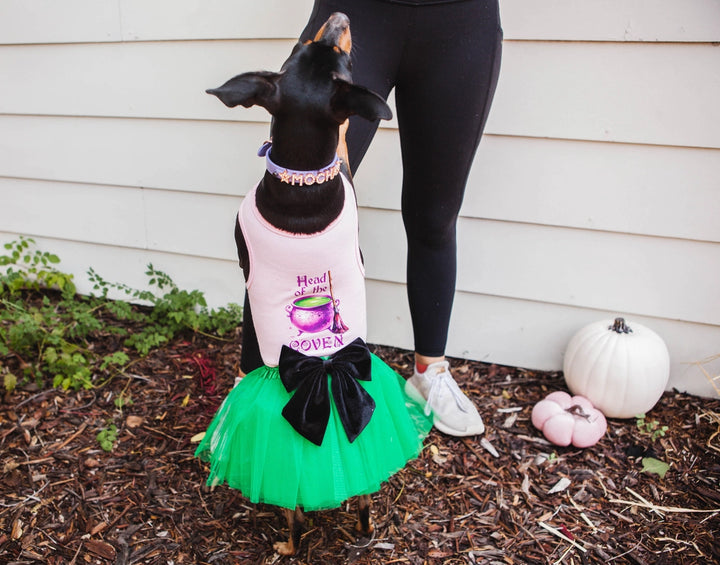 Halloween Dog  Costume | Head Of The Coven