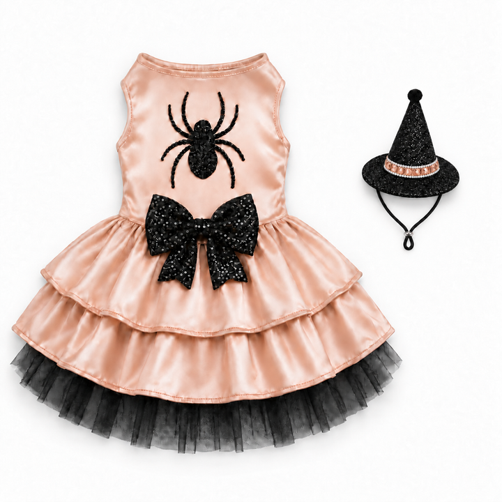 Spiderella Witch Dog Costume