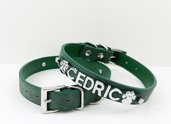Desert Suedes Pet Collar