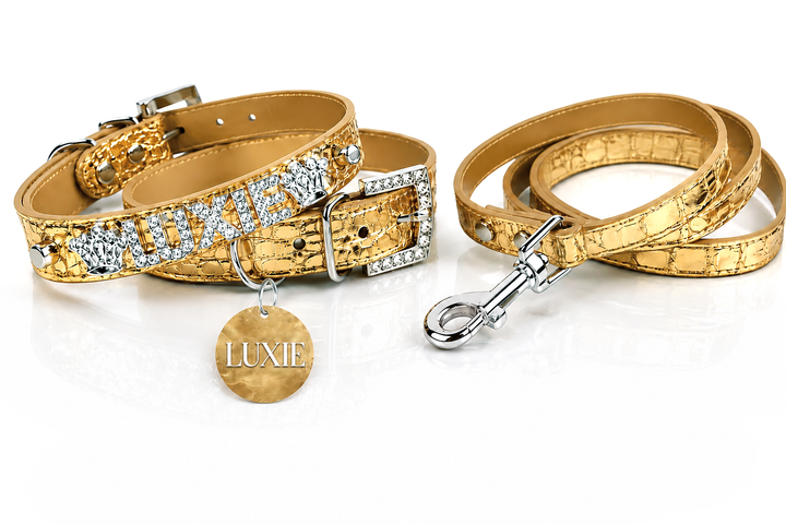 Collar | Gold Croc