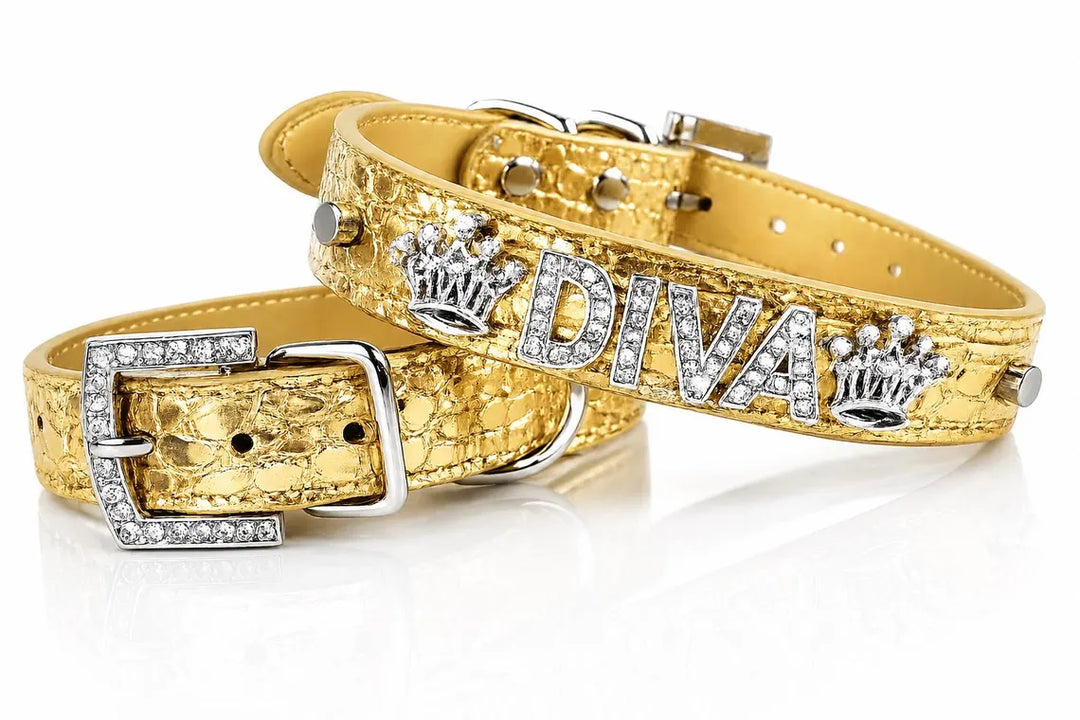 Collar | Gold Croc