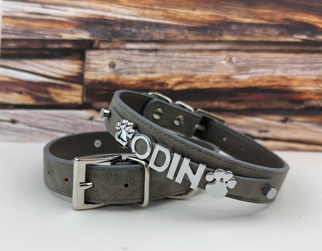 Desert Suedes Pet Collar