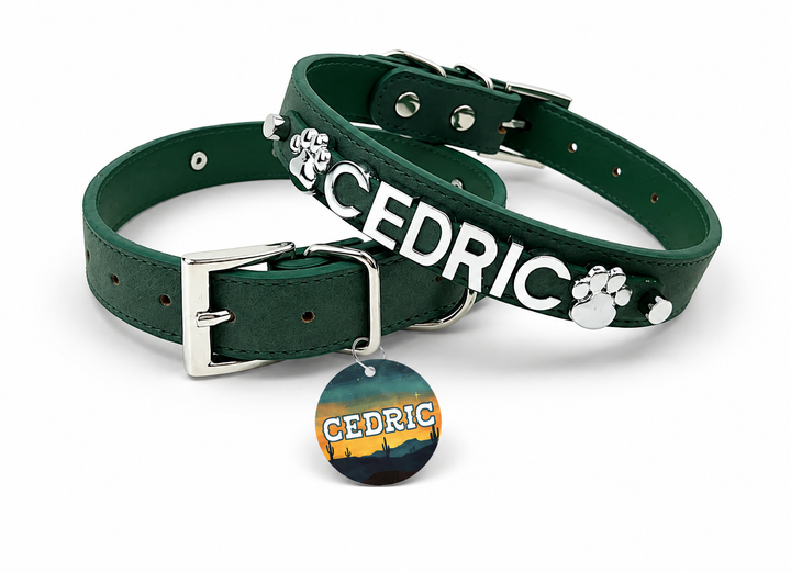 Desert Suedes Pet Collar