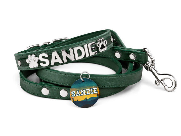 Desert Suedes Pet Collar