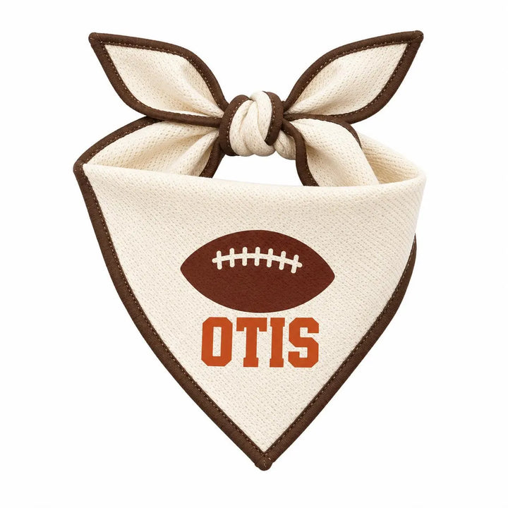 Holiday Dog Shirt | Turkey Football Nap