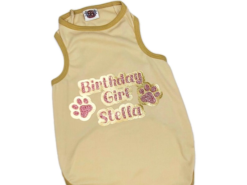 Personalized Birthday Girl Outfit | The Sparkle Vanilla Cupcake