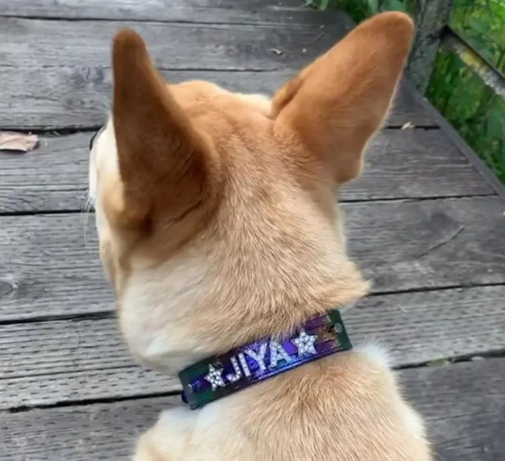 Collar | Celestial Galaxy
