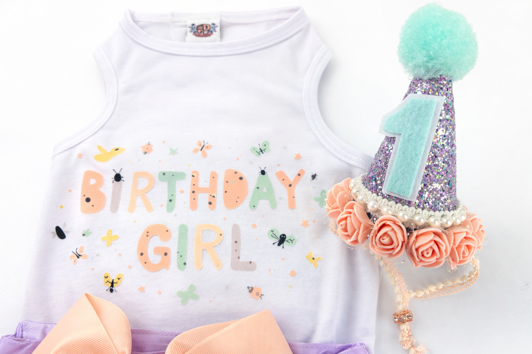 Personalized Birthday Girl Outfit | The Mariposa