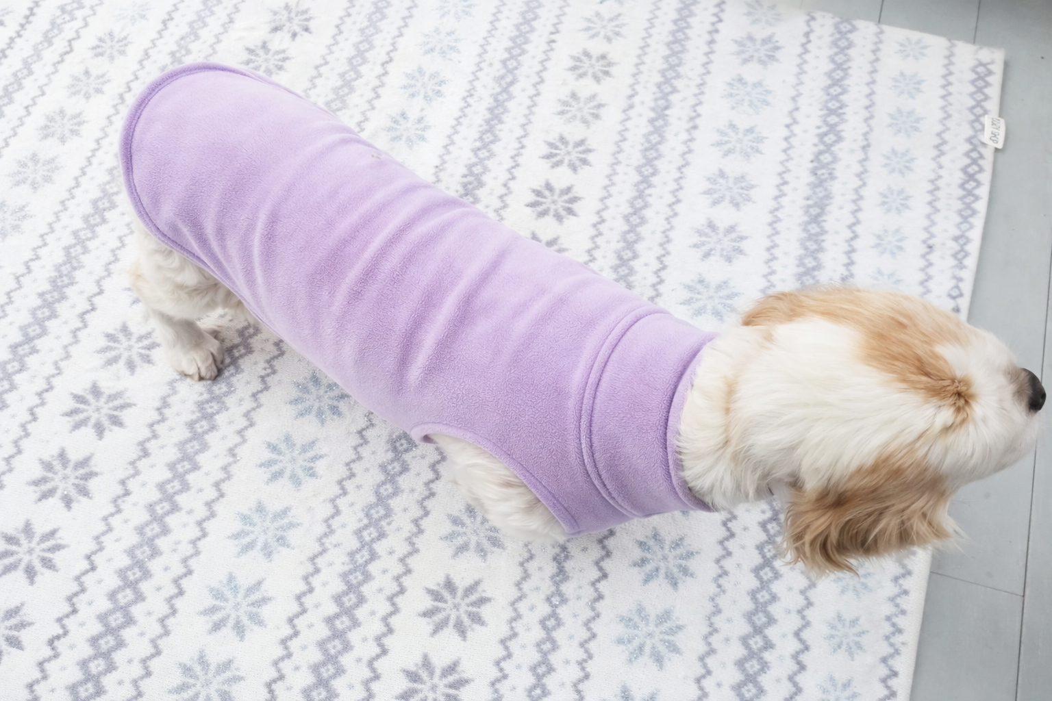 Base Layer Pet Fleece | 3 Color Choices