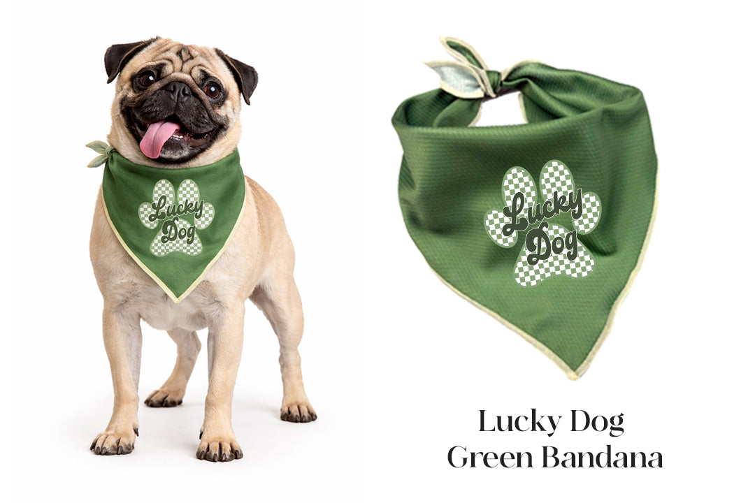 Spring Bandana Bundle | 3 Pack